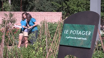 Denver Botanic Gardens Interns
