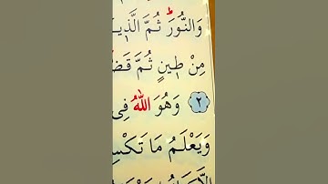 سورة الأنعام الأية 1 إلى 3 القارئ سعد الغامدي