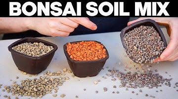 Bonsai Soil for Beginners - Everything You Need To Know