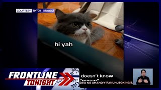 Pusa sa Pangasinan, ‘hi’ ang nasabi imbes na ‘meow’ | Frontline Tonight