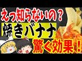 【ゆっくり解説】バナナを丸ごと焼いたら驚きの健康効果！秋に食べなきゃ損！BANANA