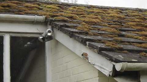 Roofline Solutions Fascias & Soffits in Guildford