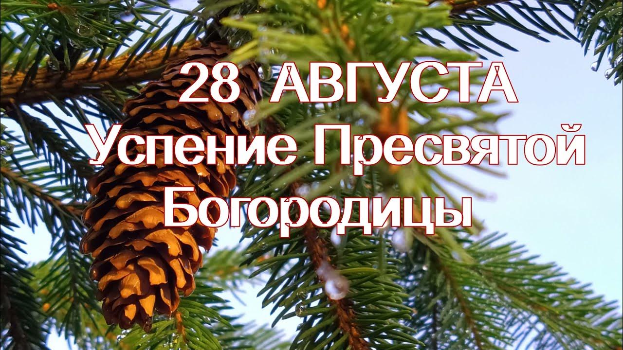 Успение пресвятой богородицы икона. 20 августа праздник. Дождь на успение приметы. Торжество православия дзен. 28 августа приметы.
