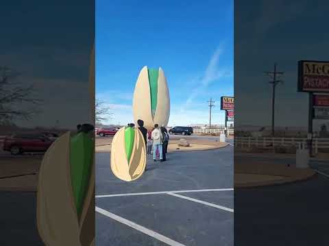 Pistachio Land