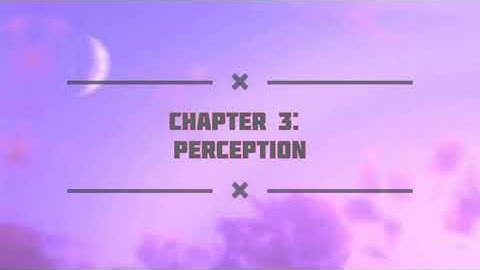Interpersonal Communication Chapter 2 : Perception