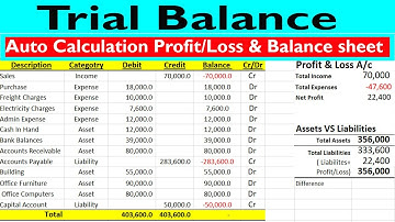 Auto Calculate Profit And Loss and Balance sheet in Excel by learning center in Urdu/Hindi