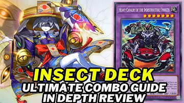 Insect Deck In Depth Combo Guide (Best Way To Play) Deck List + New Card Analysis