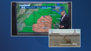Flash Flood Warning in effect until 9 p.m.