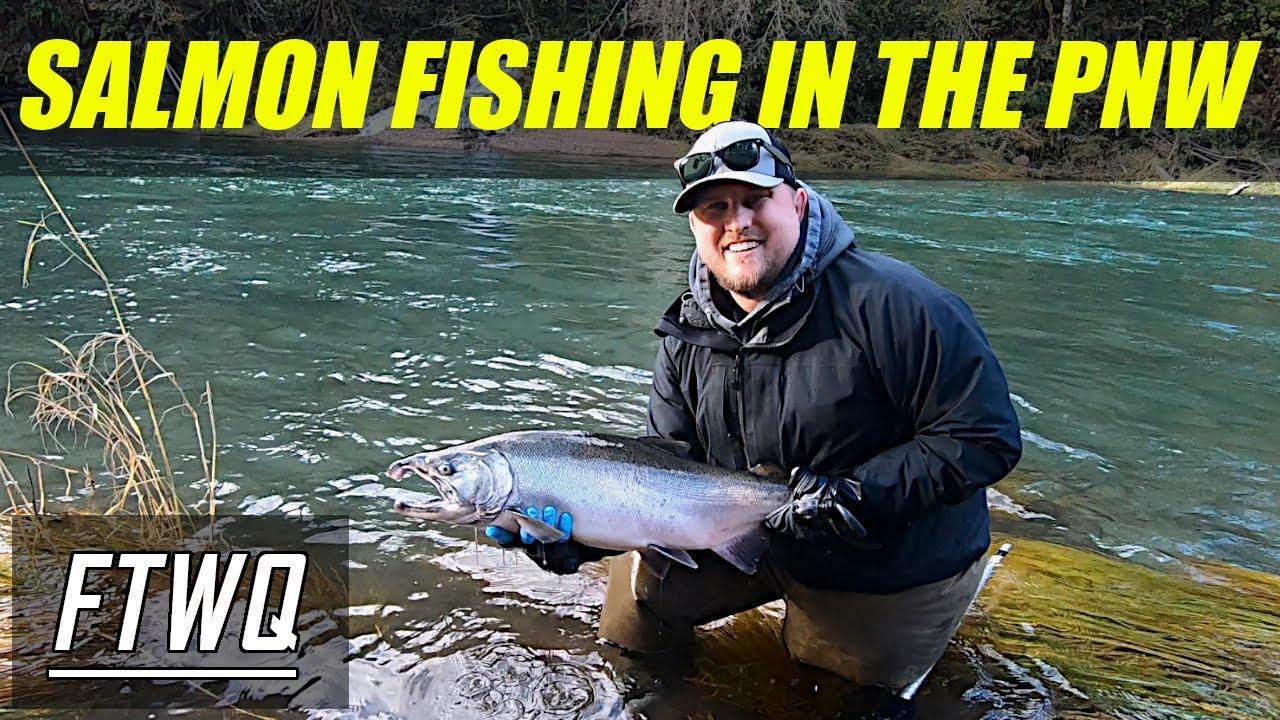 COHO Salmon on the SPINNER FISHING for Salmon, Trout and MORE