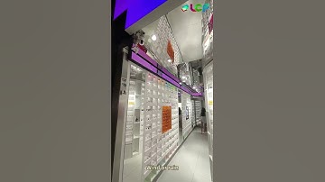 Creative LED Display for Retail Spaces【LCF】