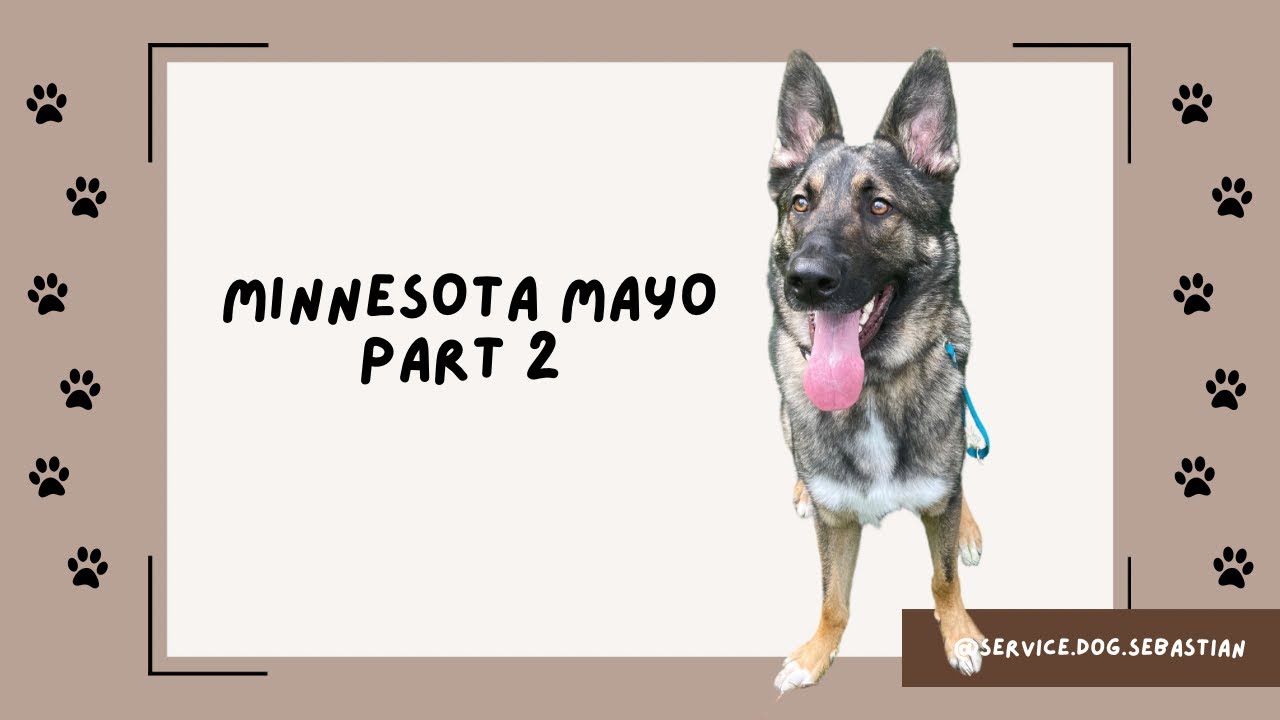 Mayo Vlog pt. 2 Neurology for Cyclic Vomiting Syndrome Day Exploring Rochester, Minnesota