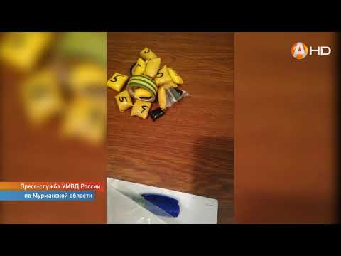 Наркополицейские Мурманска вместе с бойцами спецназа «Гром» задержали двух предполагаемых дилеров