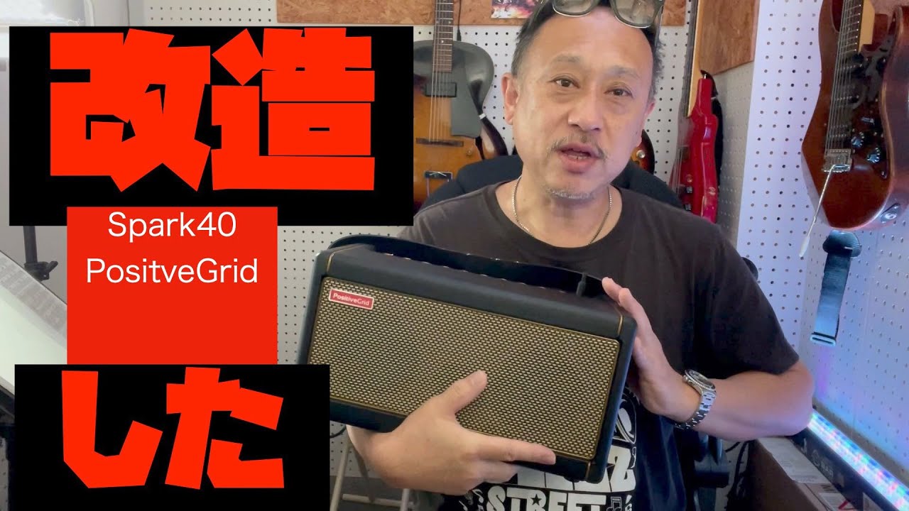 Positive grid Spark40 改造してみた