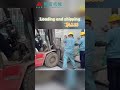 Cattle Sheep Grass Powder Pellet Feed Production Unit  #livestock #machine #poultry #unit #factory