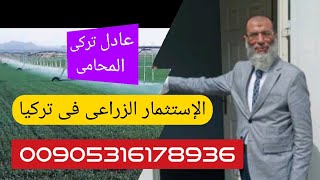 الإستثمار فى تركيا .مع عادل تركى /المحامى