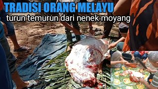 Download Lagu potong sapi di acara penambahan tanah kubur | adat Luhak kepenuhan | adat melayu MP3