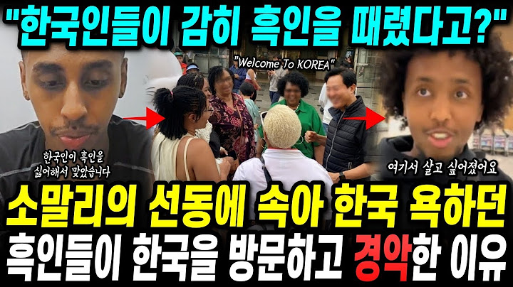 악마유튜버 말에 속아 한국 욕하던 외국인들이 한국을 방문하고 30분만에 경악한 이유 | 해외반응
