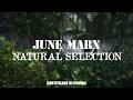 June Marx - Natural Selection | (Subtitulado en español) (Prod. por June Marx)