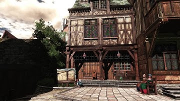 Witcher 3 ~ Wild Hunt | First Person Bug