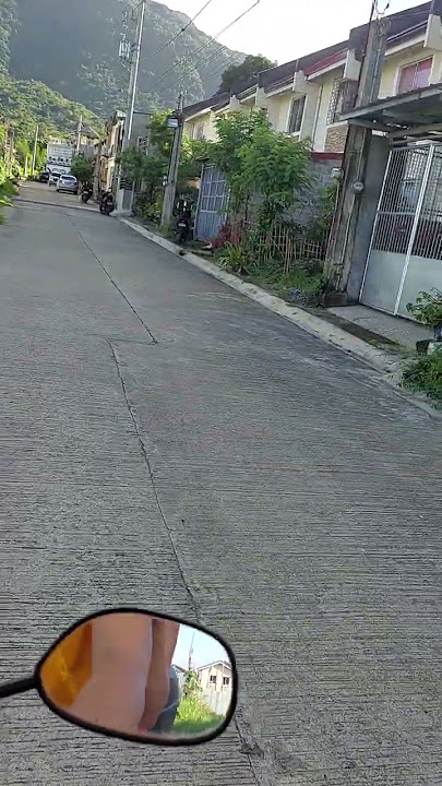Aso sumasalubong sa amo