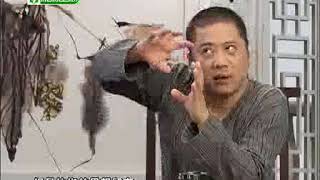 20110820《国学堂》：天才成长手册——探秘中国式心灵秘境 5