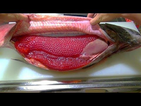 วีดีโอ: วิธีทำเกลือคาเวียร์ปลาแซลมอนแดง