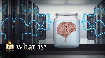The Brain in the Jar