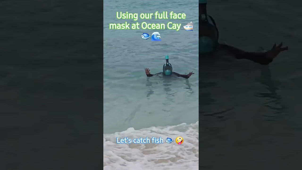 Using my full face snorkel for the first time at Ocean Cay Bahama #mscseashore #mscoceancay 😍🌊🛳