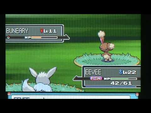 Shiny EEVEE evolutions 2nd EDITION, plus my platinum shinys!!  FULLY LEGIT!!