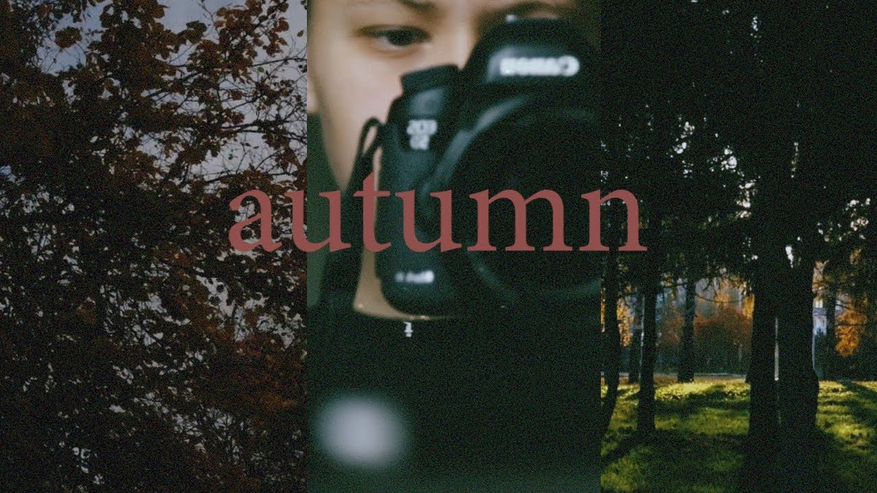 autumn 2017