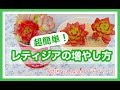 【多肉を増やそう】レティジアの増やし方