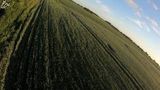 Field And Trees Near Coldham 2021 - Gopro Hero 7 Black 4K