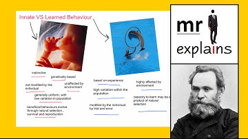 mr i explains: The Difference between Innate and Learned Behaviour