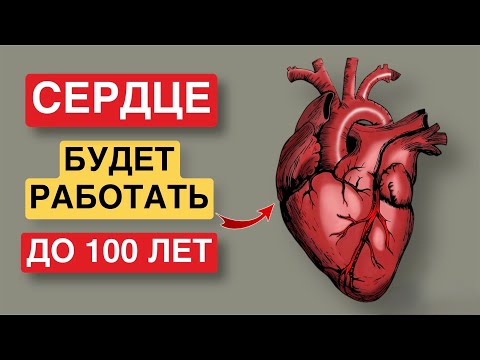 Ешьте Эти 6 Продуктов И Сердце Будет Функционировать Как Часы! Супер Еда Для Сердца