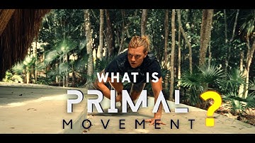 What is Primal Movement? | The Essential Movements for Life