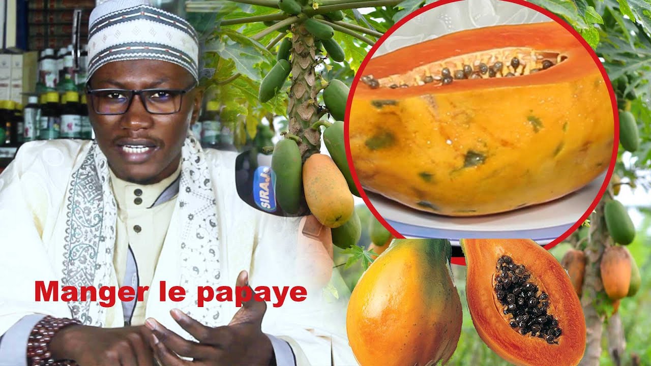 LOUTAXX MA WARA LEKK PAPAYE  ( puissance jabet hémorroïde )........ SEYDINA OUSMANE NDIAYE