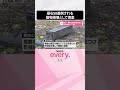 【墓石が横倒し】何が…町営墓地の一角で58基が倒される  器物損壊事件として捜査  #shorts
