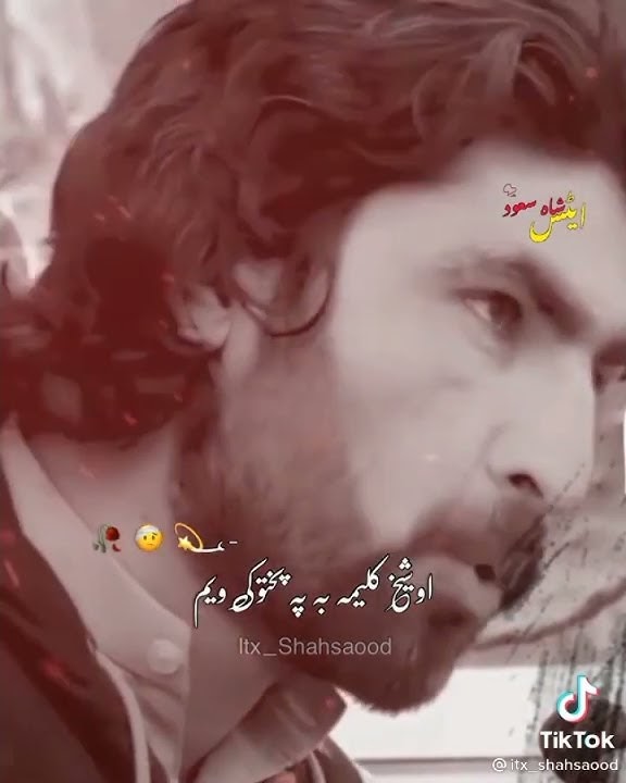 Munir Buneri Pashto  poetry ❤️