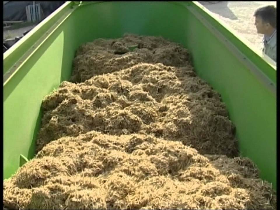 Vertical mixer three auger / Mezclador vertical con tres sinfines dairy cow