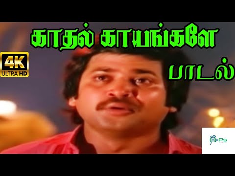 Kadhal Kayangale Neengal  || காதல் காயங்களே || K J Yesudas,Malaysia Vasudevan || Love Sad Song