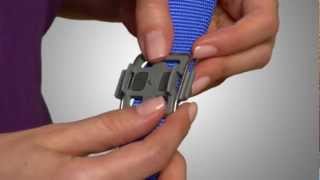 whistle collar attachment