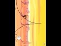 Bike Race Desert2 Walkthrough level 5 Bike Race Desert2 Walkthrough level 5