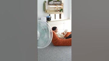 Quạt cây Rowenta VU5890 model 2025 | 16 Tốc độ gió, Siêu êm siêu bền, cực kỳ tiết kiệm điện! #shorts