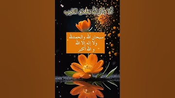 أصبحنا وأصبح الملك لله 💞 #صلوا_على_النبي #اكسبلور #افكار #استغفار #قران_كريم #لايك#صباح_الخير#اذكار
