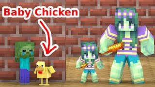 Monster School : Poor Chicken and Baby Zombie  Sad Story  Minecraft Animation