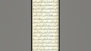 تلاوة سورة النحل من الآية 7 إلى الآية 14