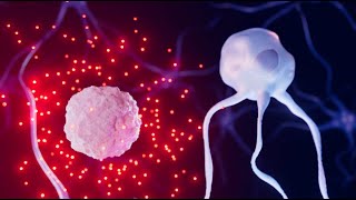 Multiple Sclerosis Animation