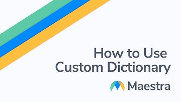 How to use Maestra Custom Dictionary