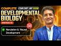 Nerulation &amp; Neural Development | Developmental Biology | CSIR DBT JRF 2026 | Lec-38 | IFAS