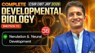 Nerulation & Neural Development | Developmental Biology | CSIR DBT JRF 2026 | Lec-38 | IFAS